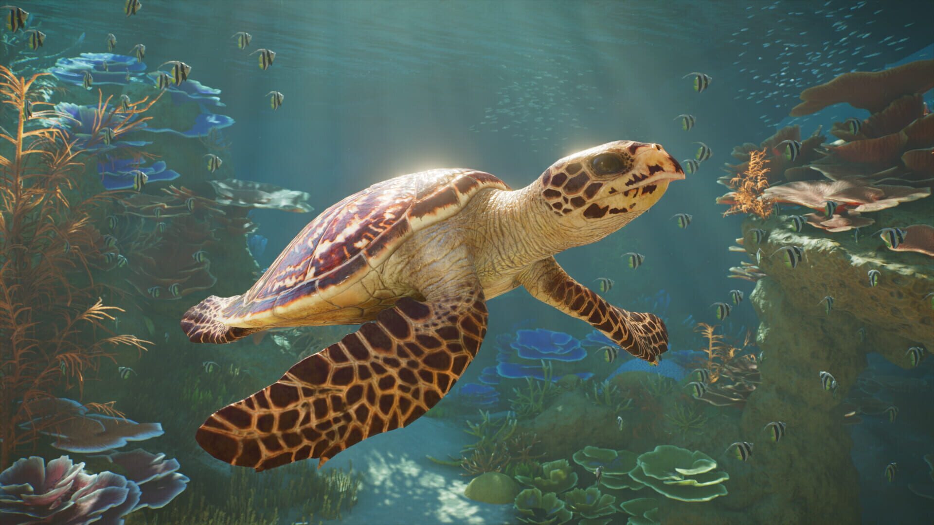 Screenshot for Planet Zoo 2