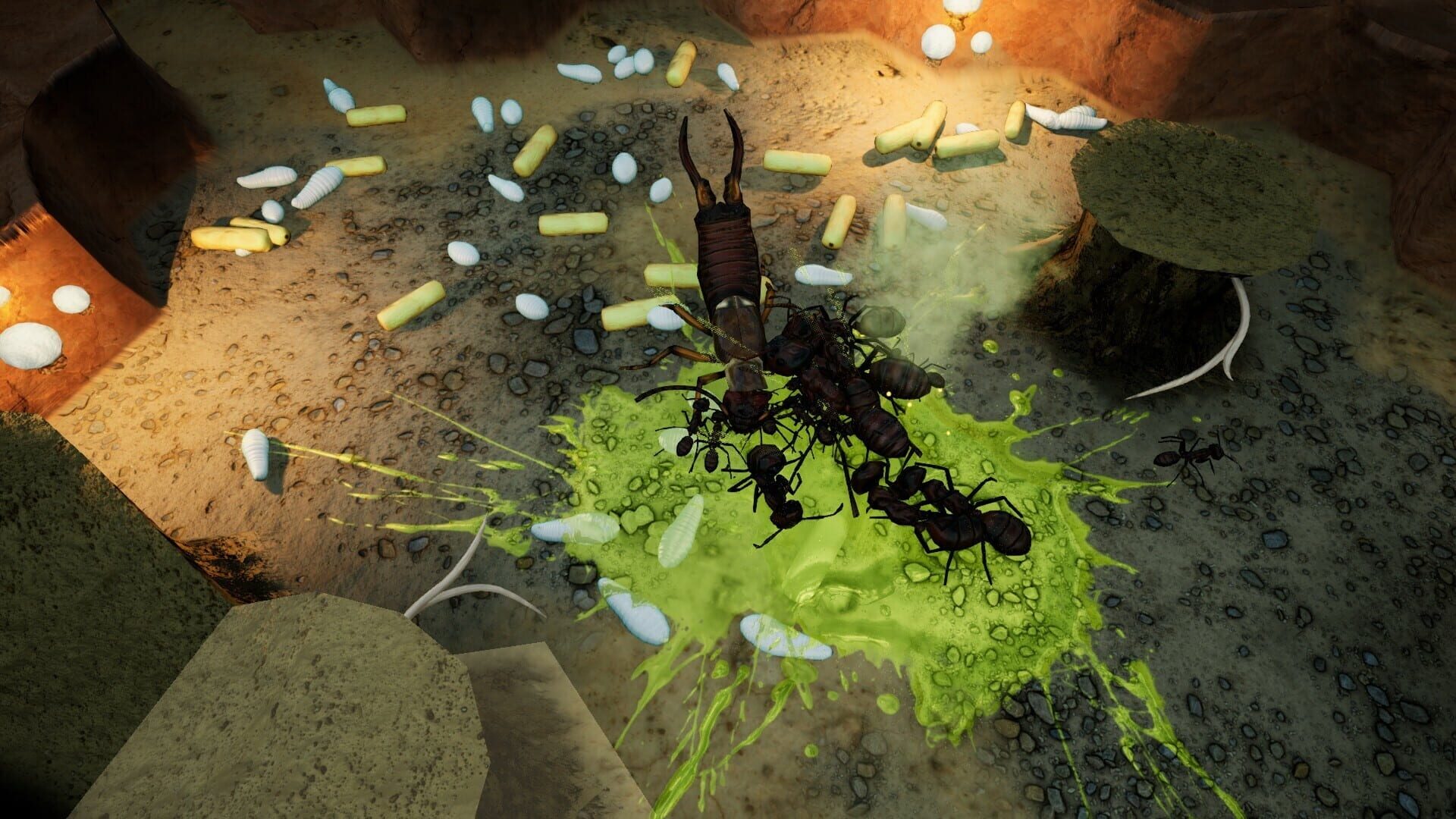 Screenshot for Empires of the Undergrowth: Exploding Ants