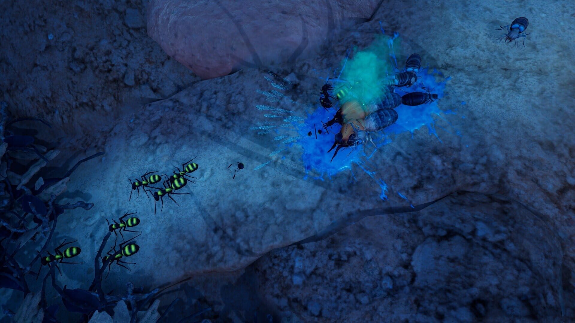 Screenshot for Empires of the Undergrowth: Exploding Ants
