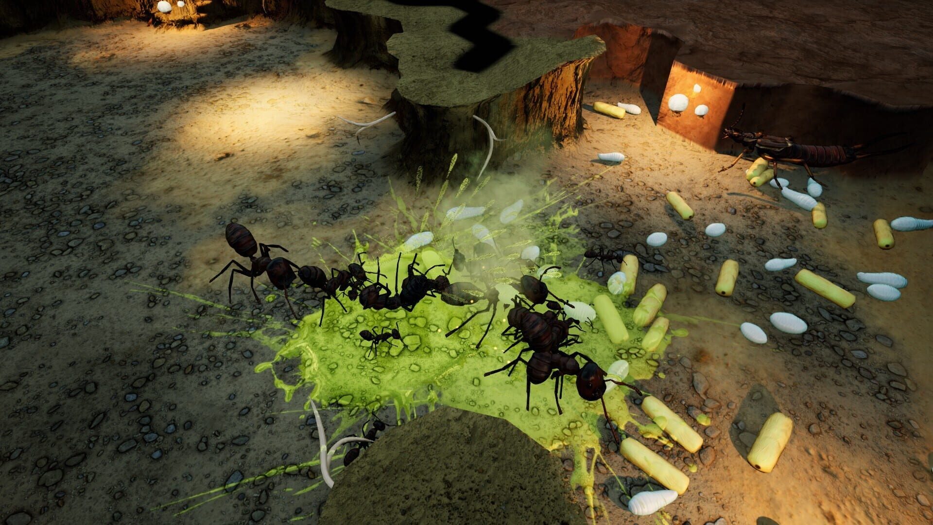 Screenshot for Empires of the Undergrowth: Exploding Ants