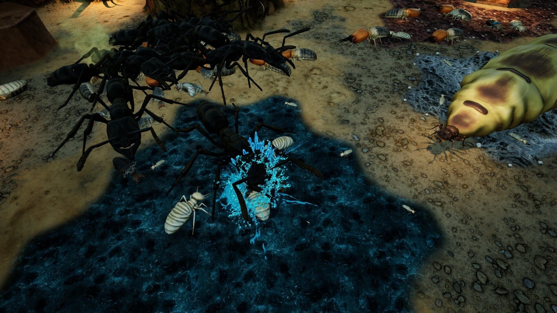 Screenshot for Empires of the Undergrowth: Exploding Ants