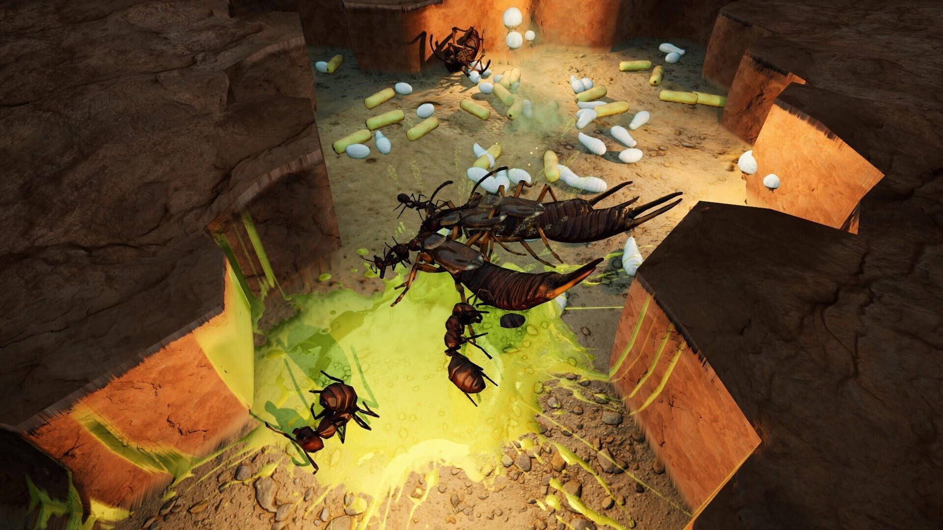 Screenshot for Empires of the Undergrowth: Exploding Ants