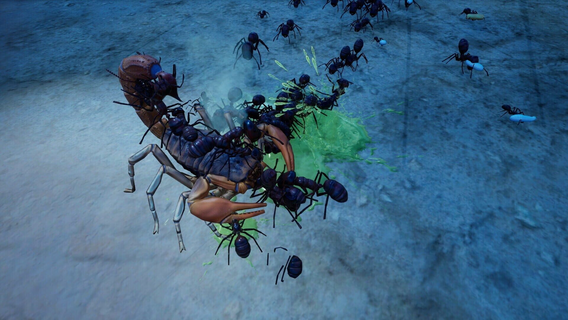Screenshot for Empires of the Undergrowth: Exploding Ants