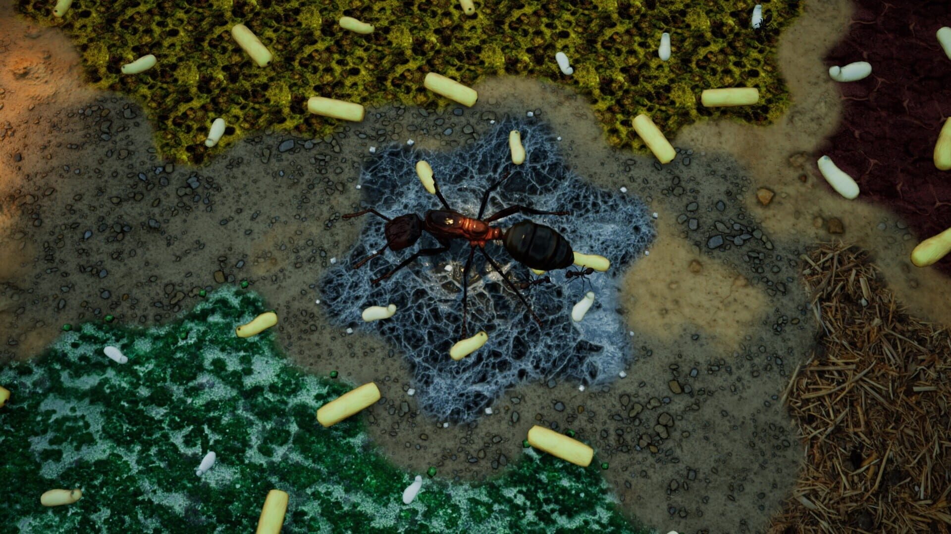 Screenshot for Empires of the Undergrowth: Exploding Ants