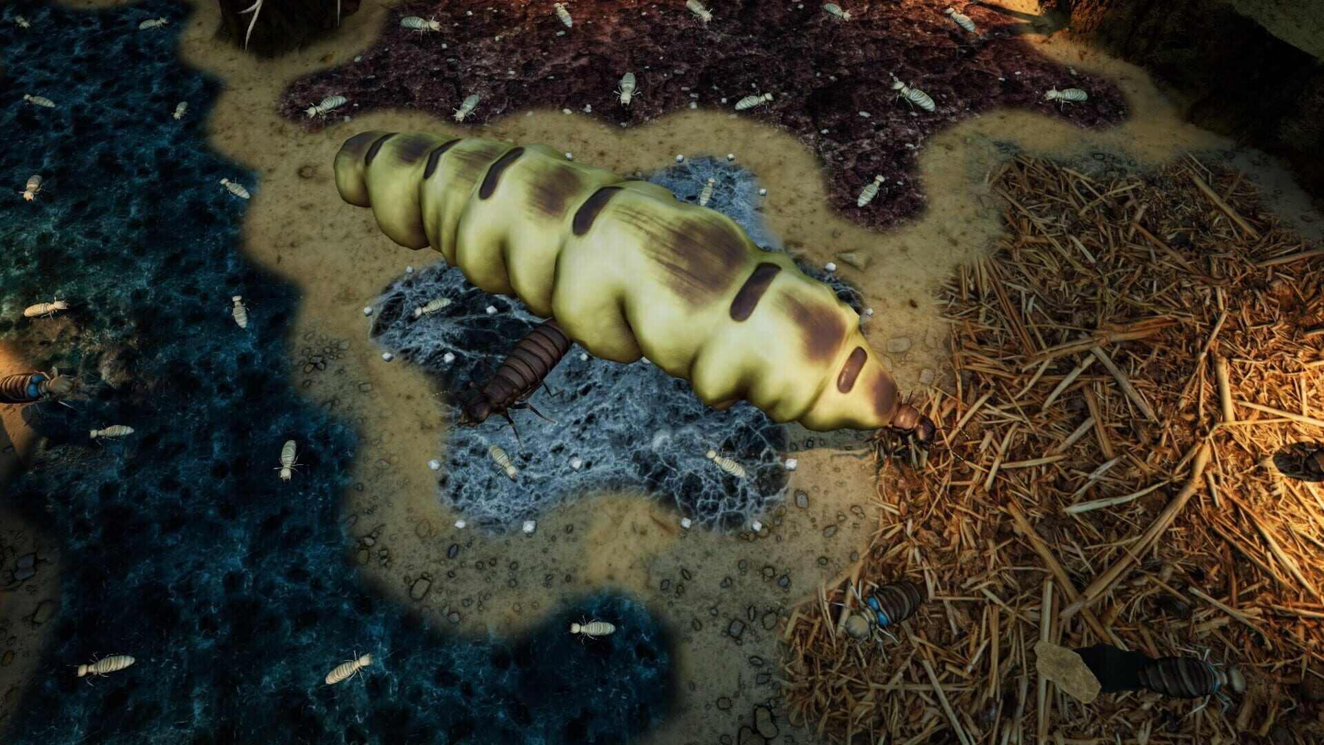 Screenshot for Empires of the Undergrowth: Exploding Ants