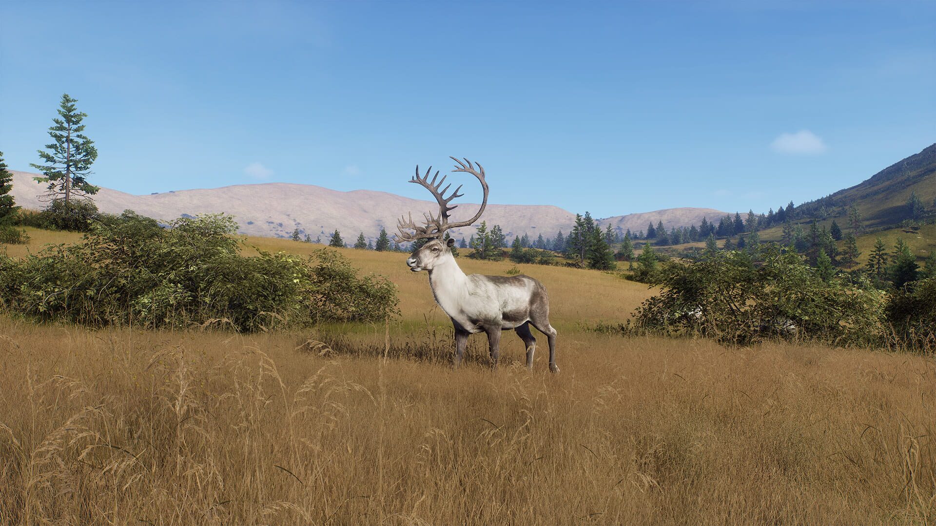 Screenshot for Way of the Hunter: Elkcrest Island