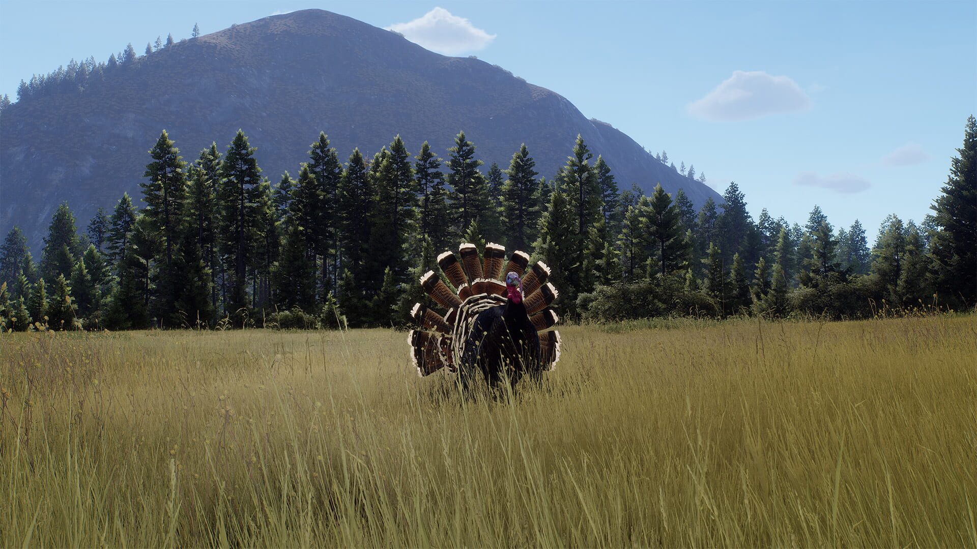 Screenshot for Way of the Hunter: Elkcrest Island