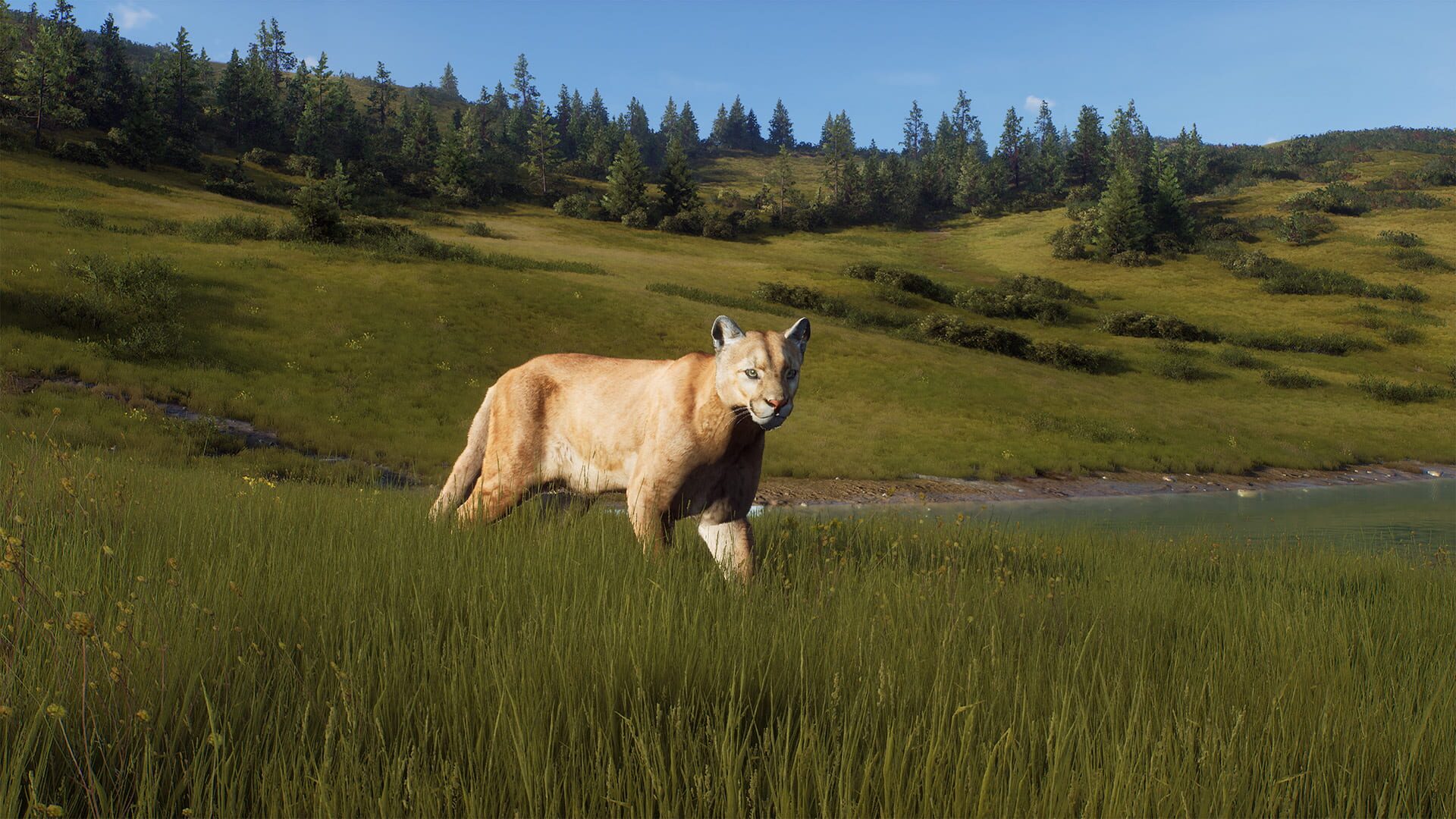 Screenshot for Way of the Hunter: Elkcrest Island