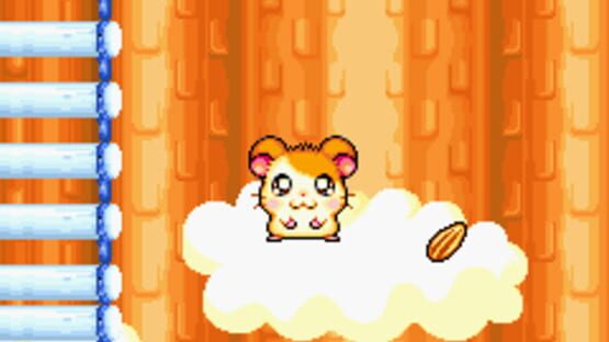 Screenshot for Hamtaro: Ham-Ham Games