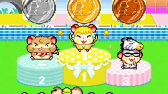 Screenshot for Hamtaro: Ham-Ham Games
