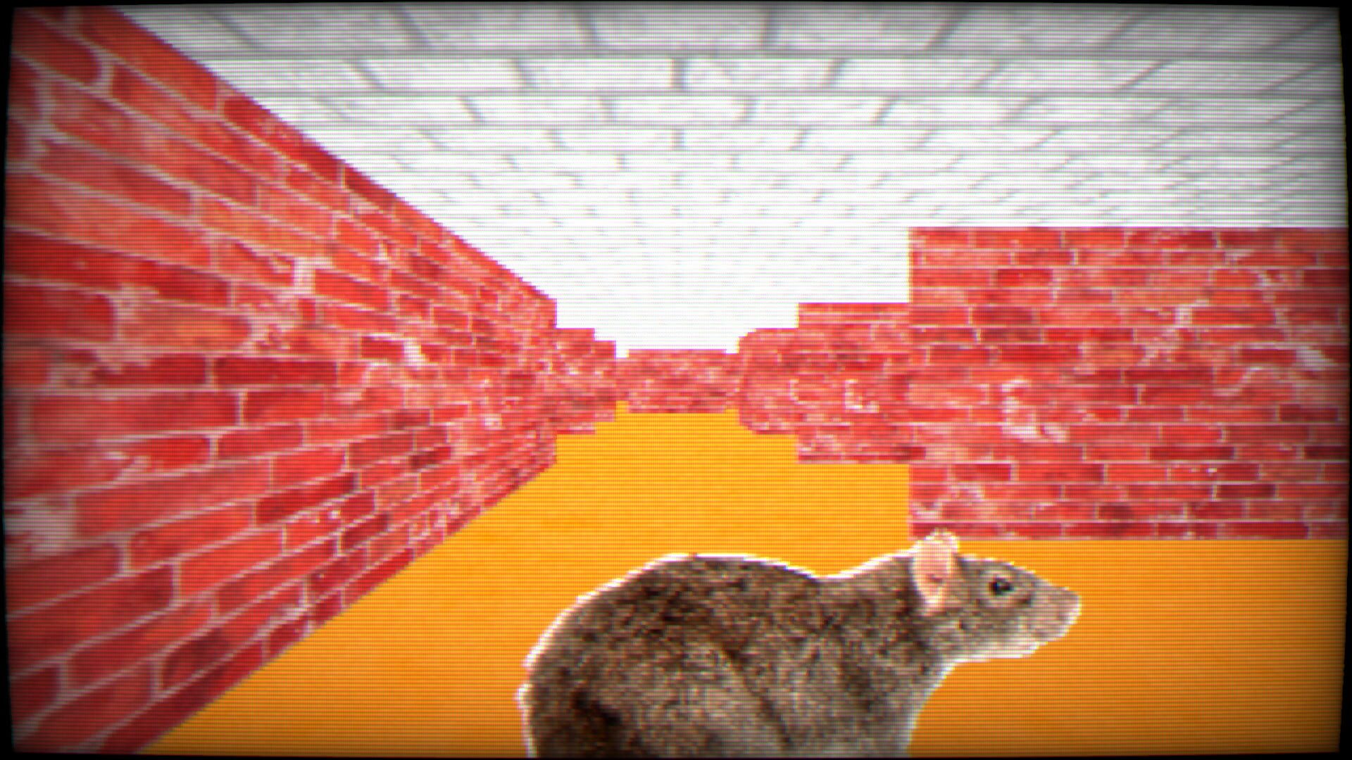 Screenshot for Maze 95 Ultimate