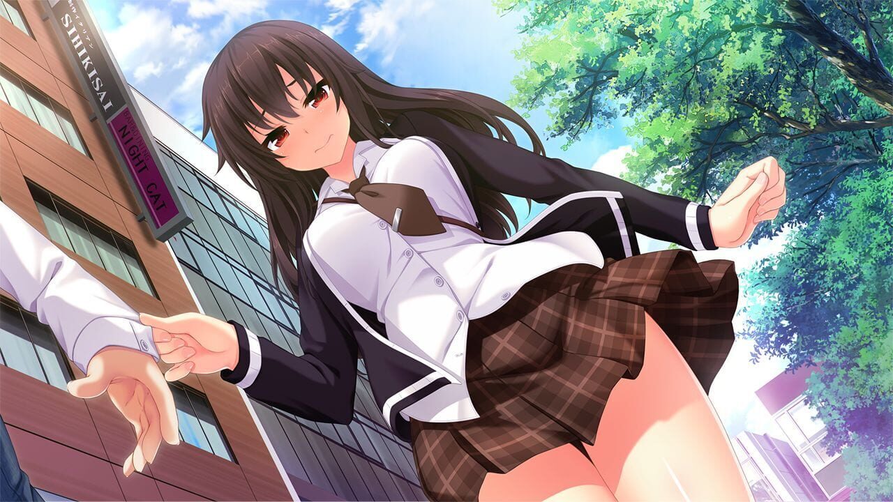 Screenshot for Nora to Oujo to Noraneko Heart HD Version