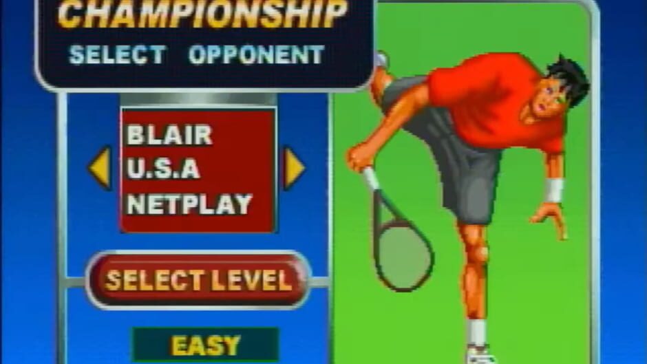 Screenshot for Tennis Challenge