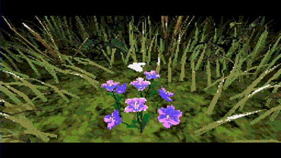 Screenshot for Mansion of Hidden Souls