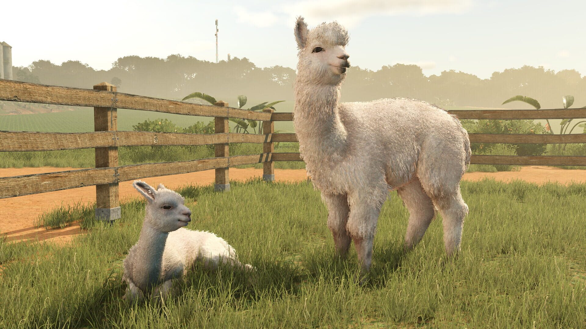 Screenshot for Farming Simulator 25: Beans & Alpacas Expansion