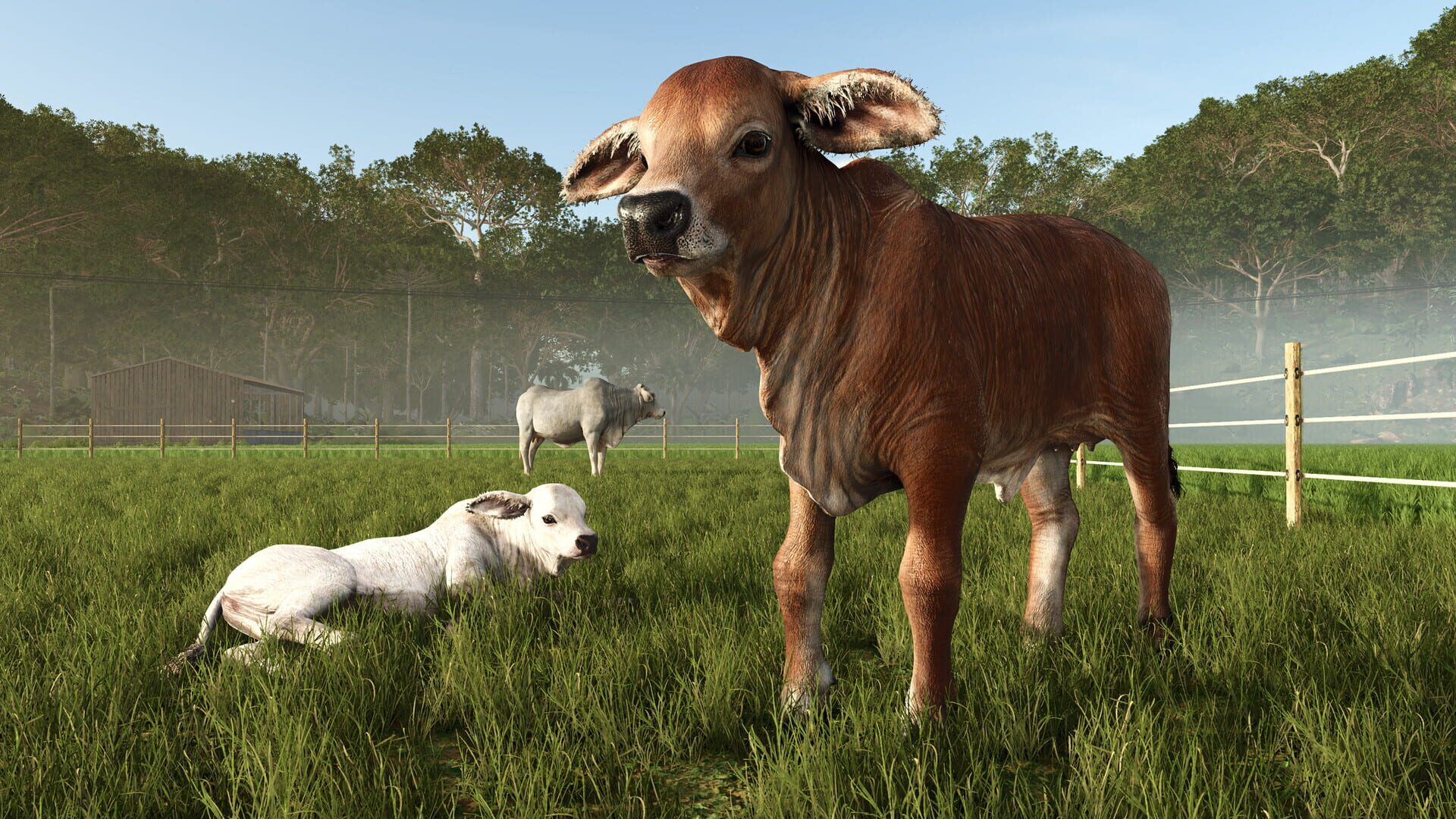 Screenshot for Farming Simulator 25: Beans & Alpacas Expansion