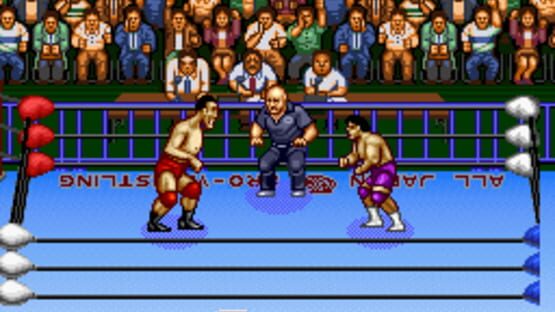 Screenshot for Zen-Nippon Pro Wrestling