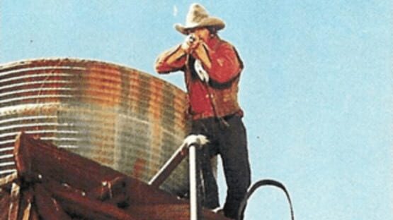 Screenshot for Wild Gunman