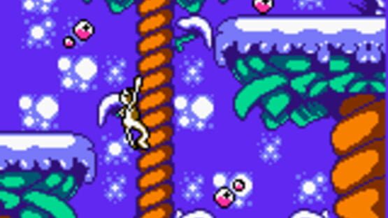 Screenshot for Zoboomafoo: Playtime in Zobooland