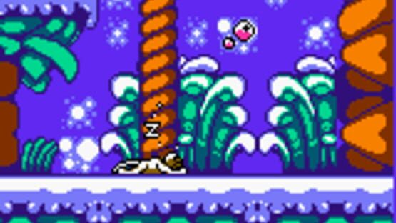 Screenshot for Zoboomafoo: Playtime in Zobooland