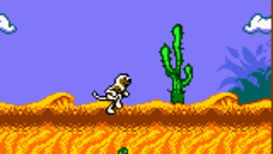 Screenshot for Zoboomafoo: Playtime in Zobooland