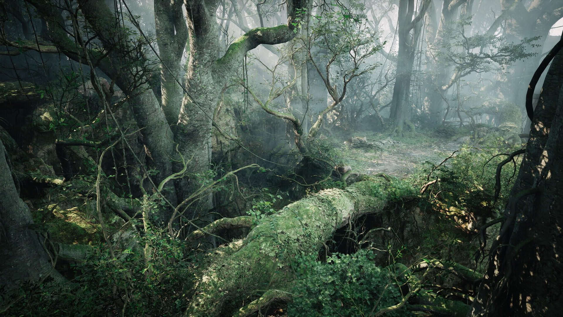 Screenshot for Tarae: The Unbound