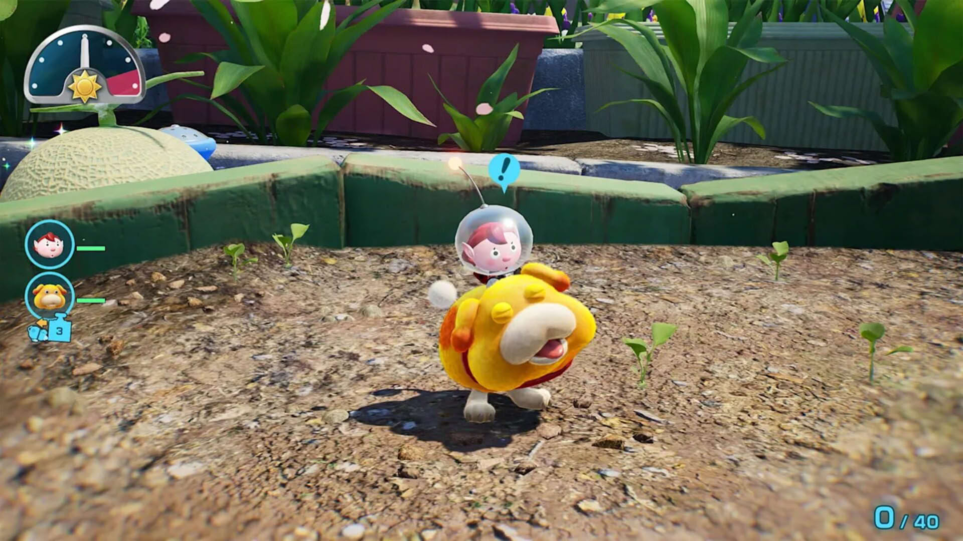 Screenshot for Pikmin 4: Nintendo Switch 2 Edition + Dandori Academy