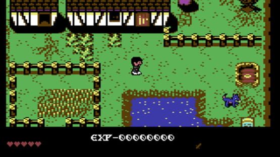 Screenshot for The Isle of the Cursed Prophet