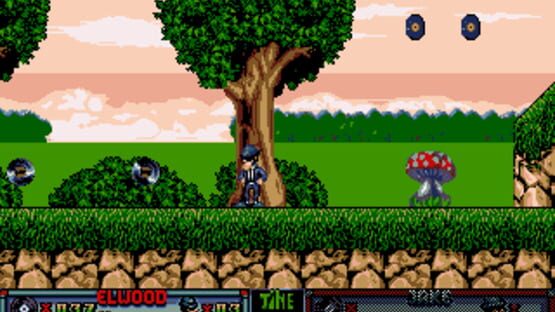 Screenshot for The Blues Brothers: Jukebox Adventure