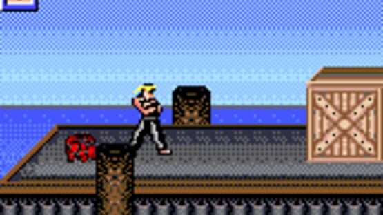 Screenshot for Surf Ninjas