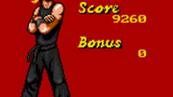 Screenshot for Surf Ninjas