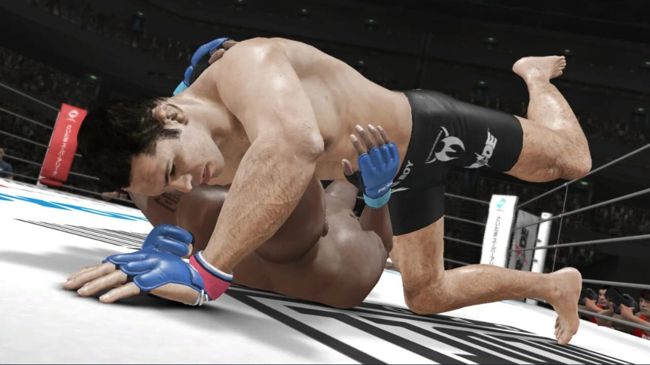 Screenshot for UFC Undisputed 3