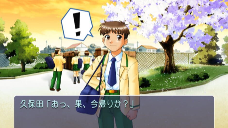 Screenshot for True Love Story 3