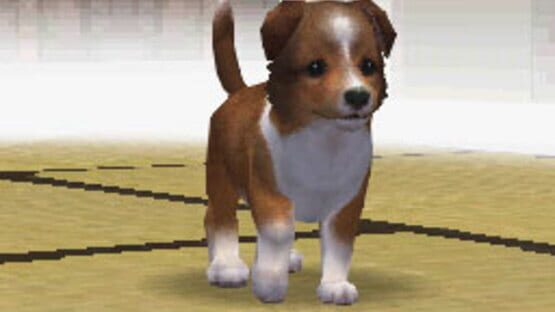 Screenshot for Nintendogs: Shiba & Friends