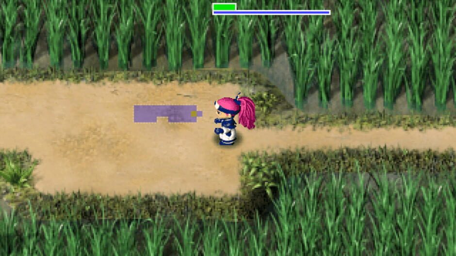 Screenshot for Fushigi no Dungeon: Fuurai no Shiren Gaiden - Onna Kenshi Asuka Kenzan!