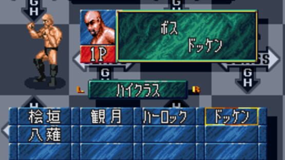 Screenshot for Super Fire Pro Wrestling X Premium