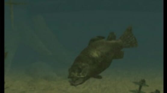 Screenshot for Super Black Bass X2