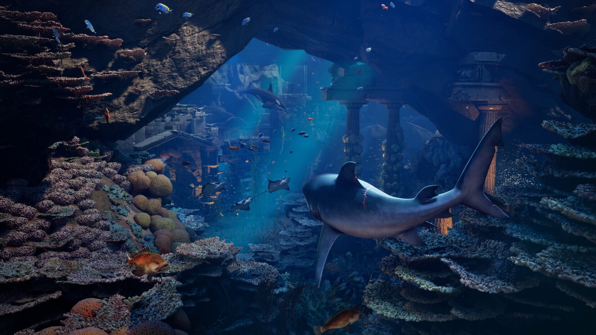 Screenshot for Maneater 2