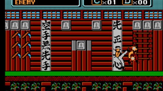 Screenshot for The Karate Kid