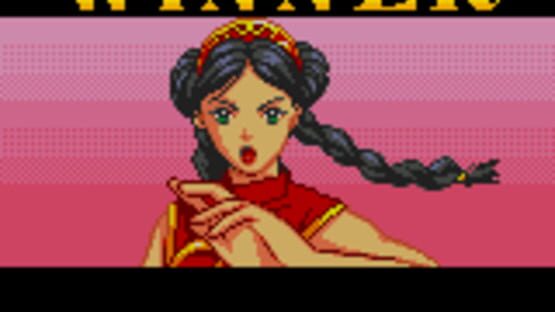 Screenshot for Virtua Fighter Animation