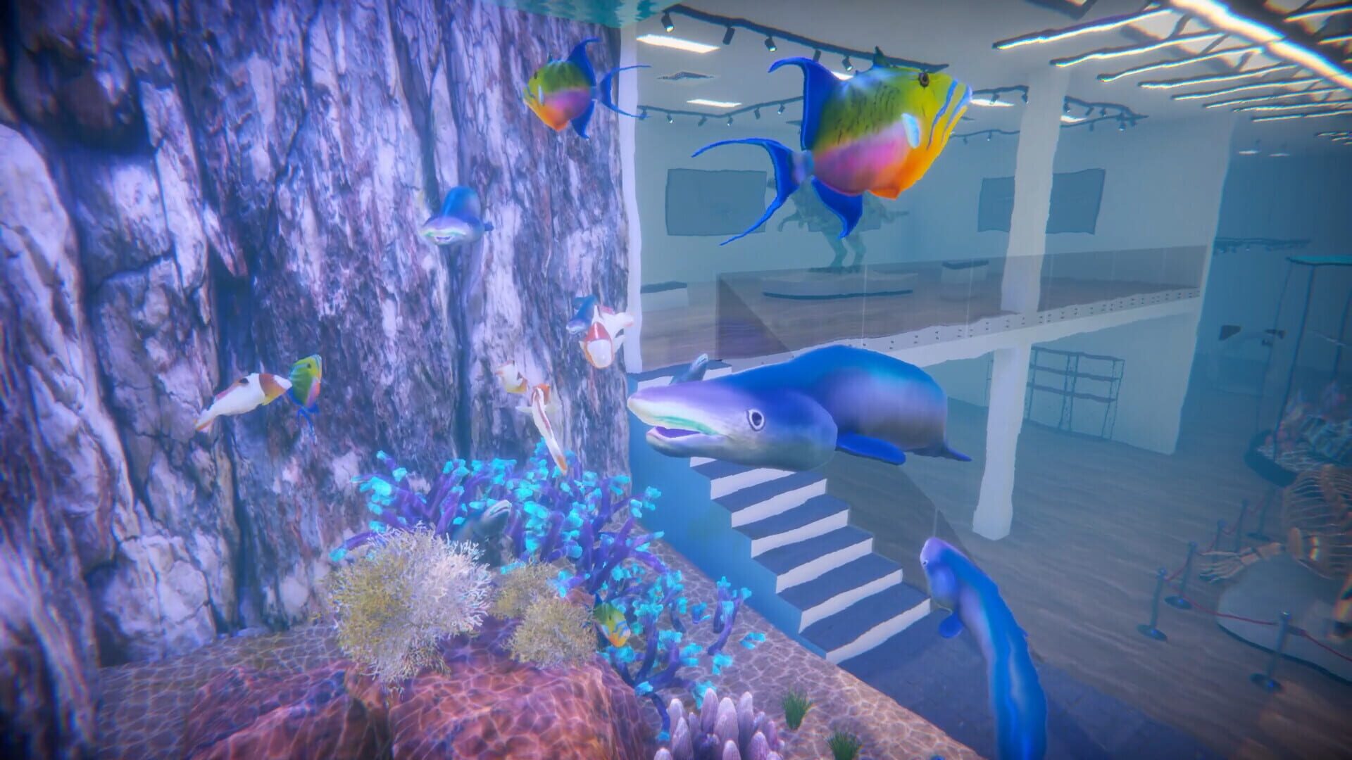 Screenshot for Aquarist: American Fish DLC