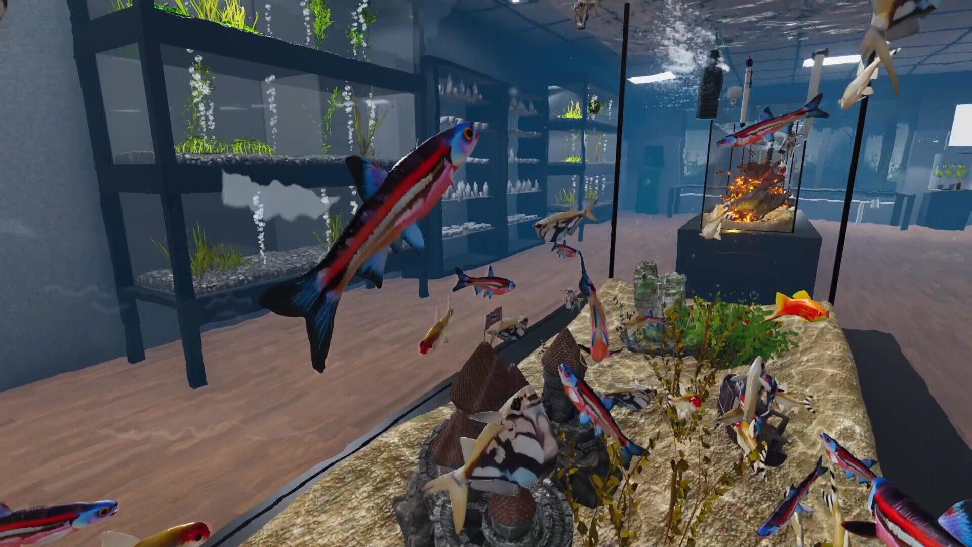 Screenshot for Aquarist: American Fish DLC