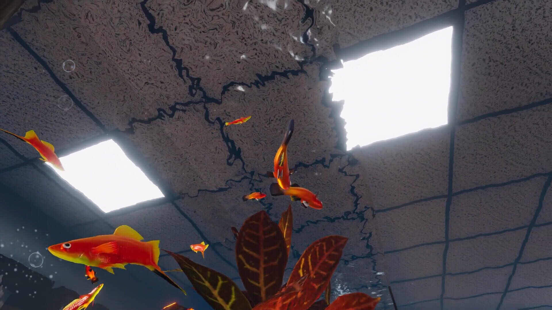 Screenshot for Aquarist: American Fish DLC