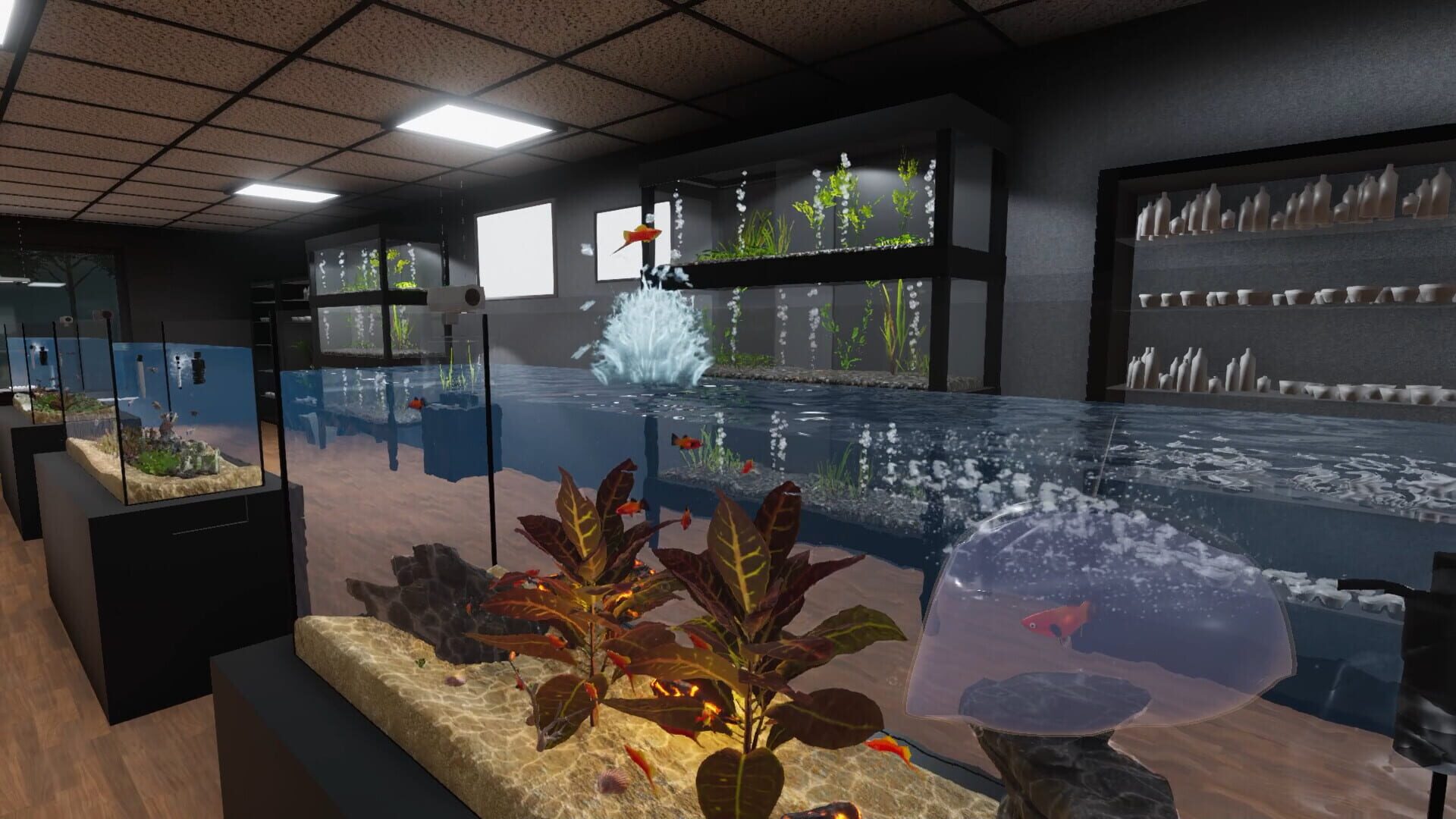 Screenshot for Aquarist: American Fish DLC