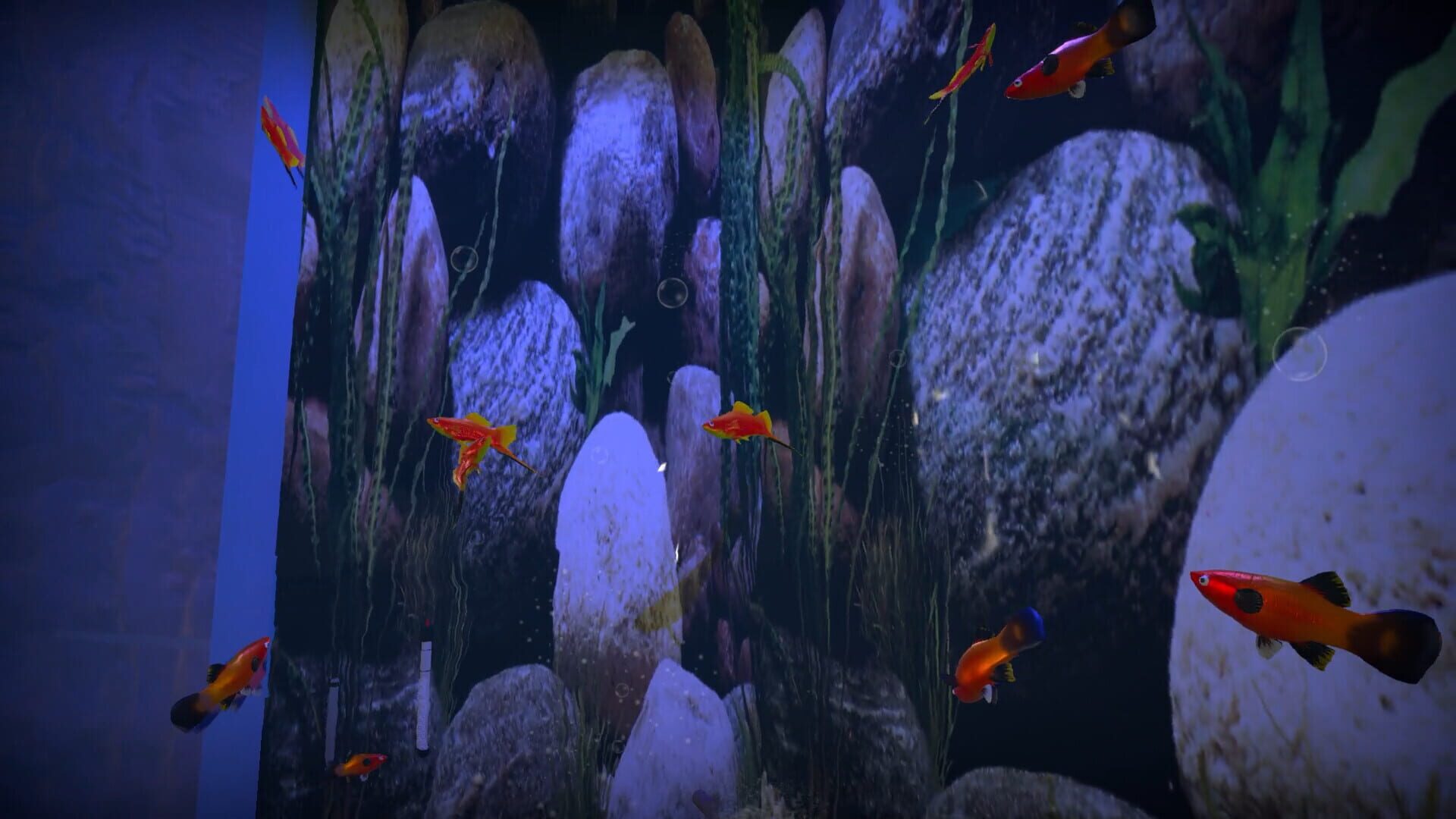 Screenshot for Aquarist: American Fish DLC