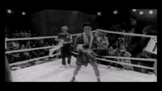 Screenshot for Prize Fighter