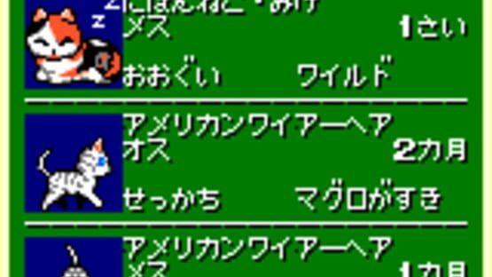 Screenshot for Neko Daisuki!