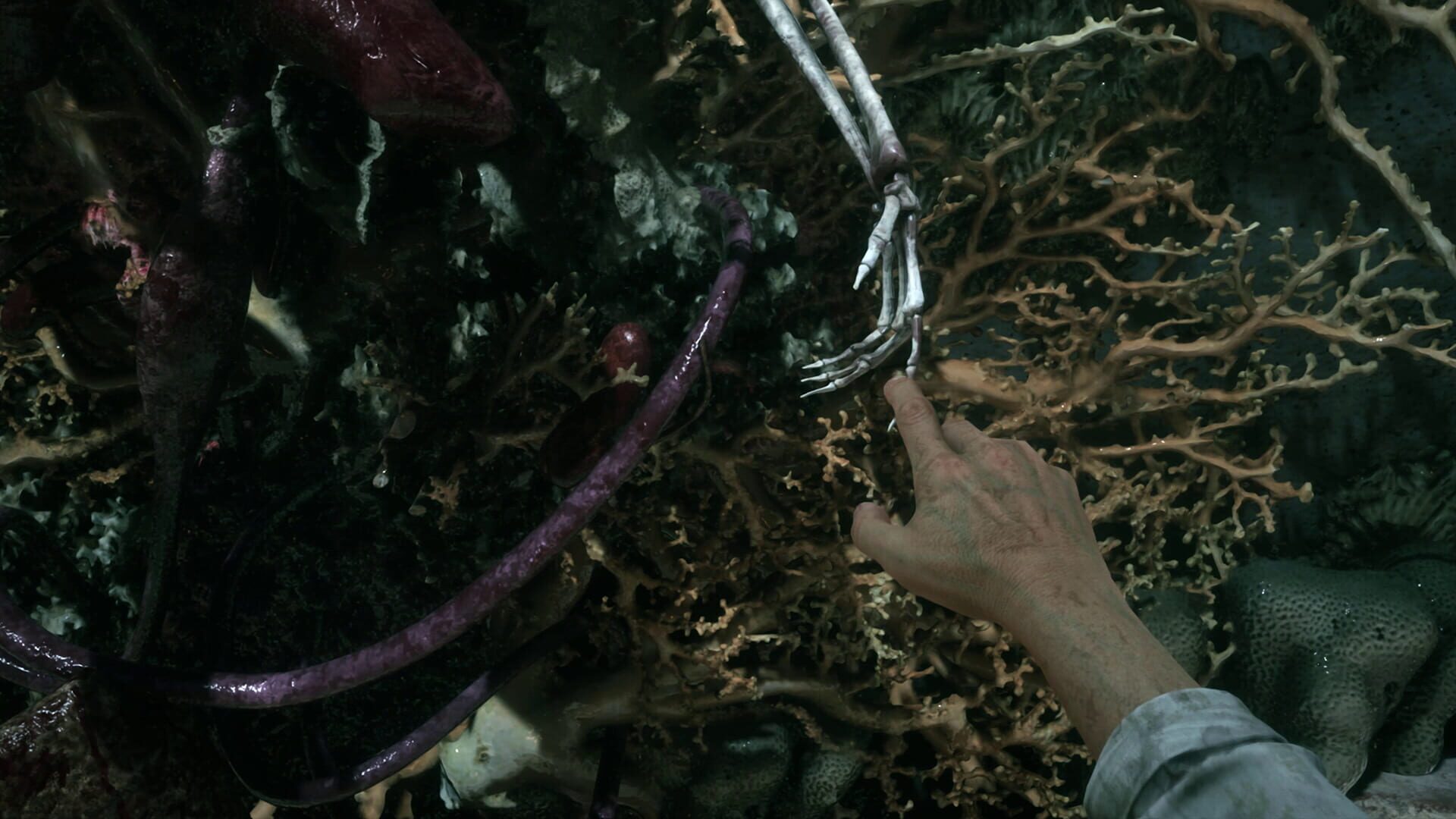Screenshot for Sker: The Bleeding Veil