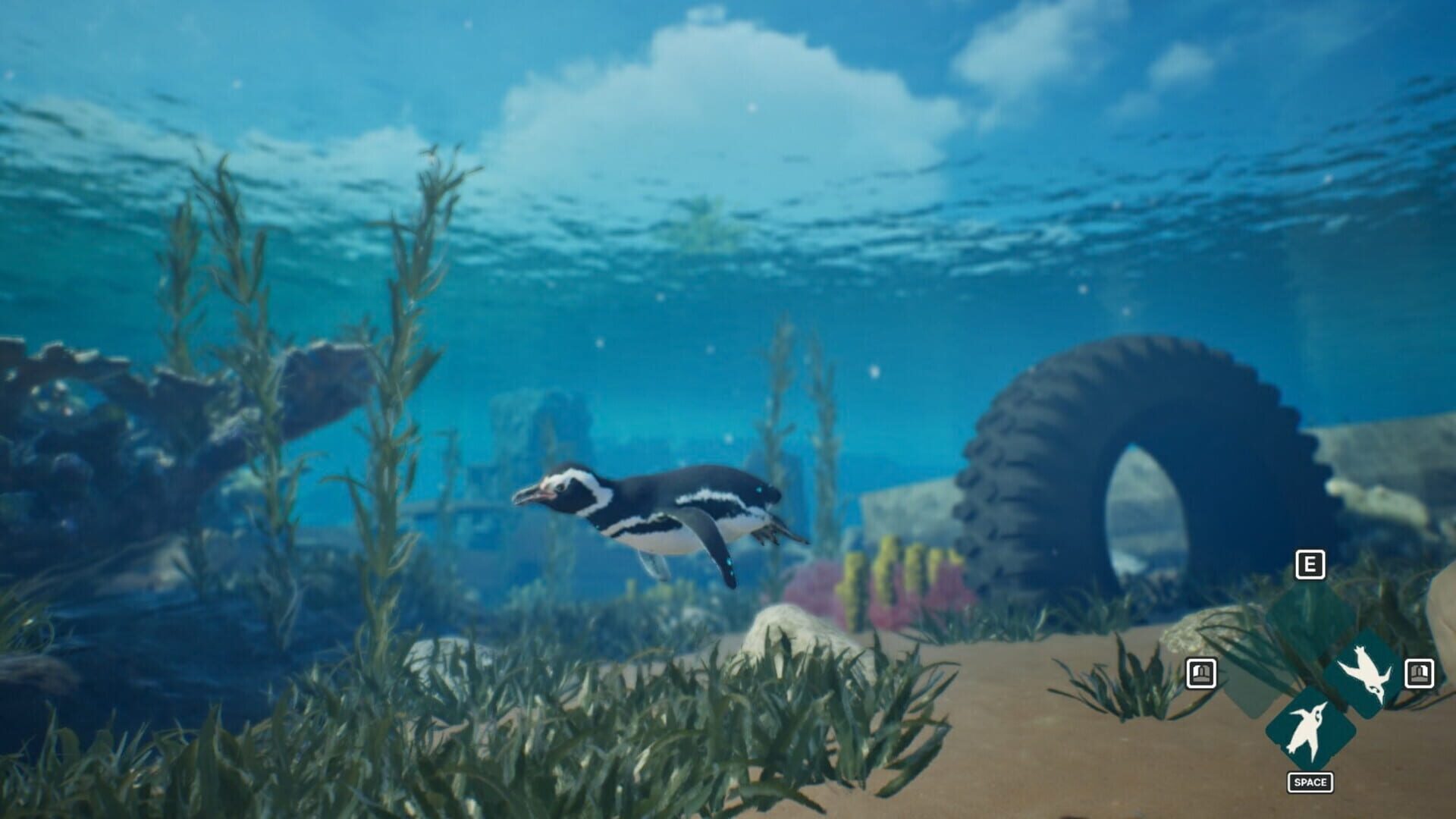 Screenshot for My Penguin Friend