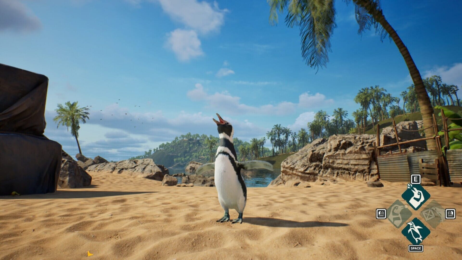 Screenshot for My Penguin Friend